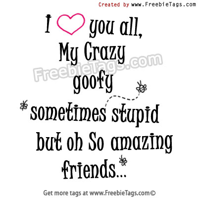 I love you all - my crazy, goofy, stupid, but amazing friends facebook tags
